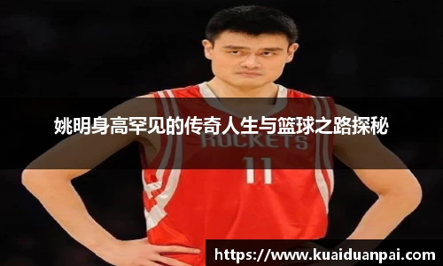 韦德体育